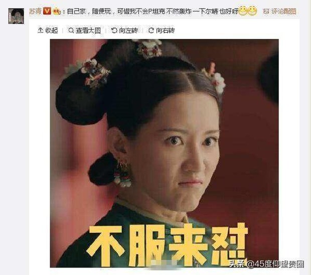 5 ác nữ phim Hoa ngữ tụ nghiệp đến mức người bị cào rách xe tiền tỉ, kẻ thành meme mạng xã hội - Ảnh 11.