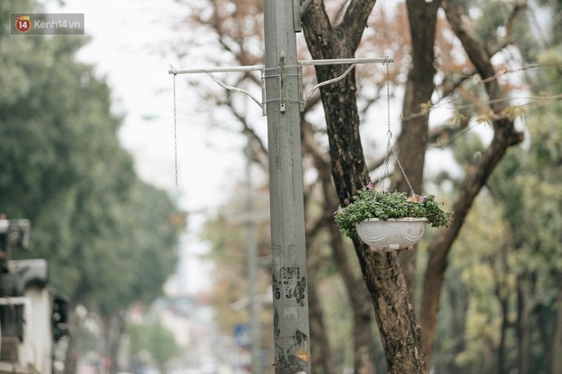 Clip bức xúc: Nhiều người dừng xe giữa đường phố Hà Nội mót hoa trang trí, lãnh đạo Công ty Công viên cây xanh lên tiếng - Ảnh 7.