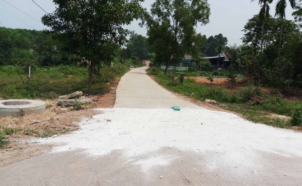Lại xuất hiện ổ dịch tả lợn châu Phi thứ 3 ở Huế - Ảnh 2.