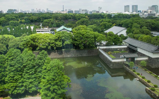 Hoàng cung Nhật Bản trang nghiêm và đầy chất thơ nép mình bên cạnh sự hiện đại chóng mặt của đô thị - Ảnh 12.