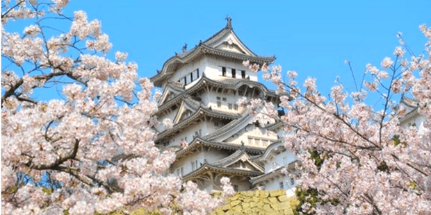 Hoàng cung Nhật Bản trang nghiêm và đầy chất thơ nép mình bên cạnh sự hiện đại chóng mặt của đô thị - Ảnh 5.