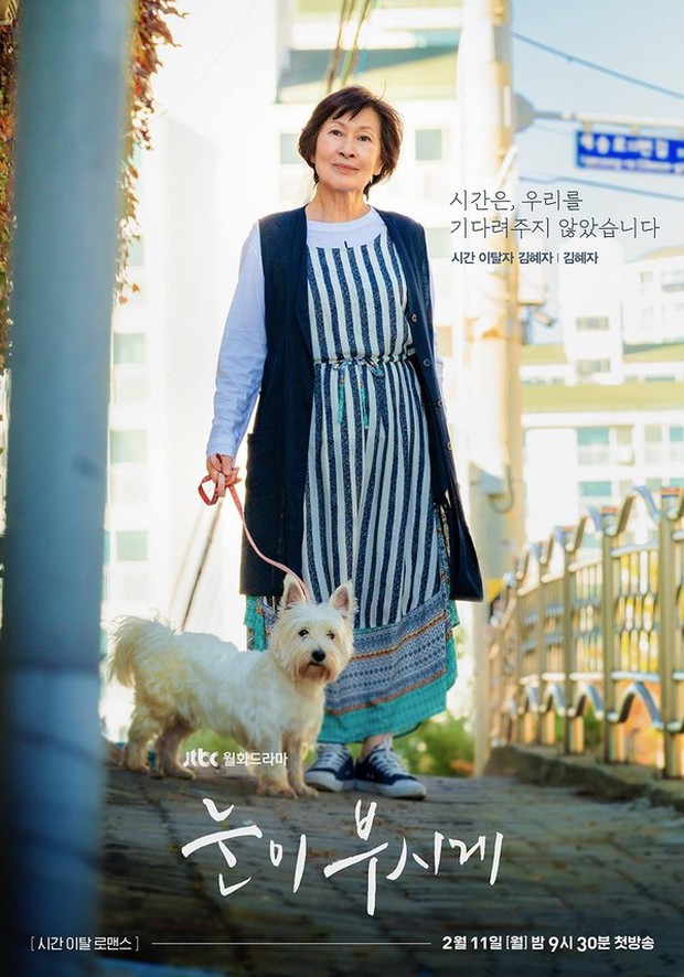 Danh sách tranh giải Baeksang 2019: SKY Castle bao sân, hạng mục nào cũng có mặt - Ảnh 4.