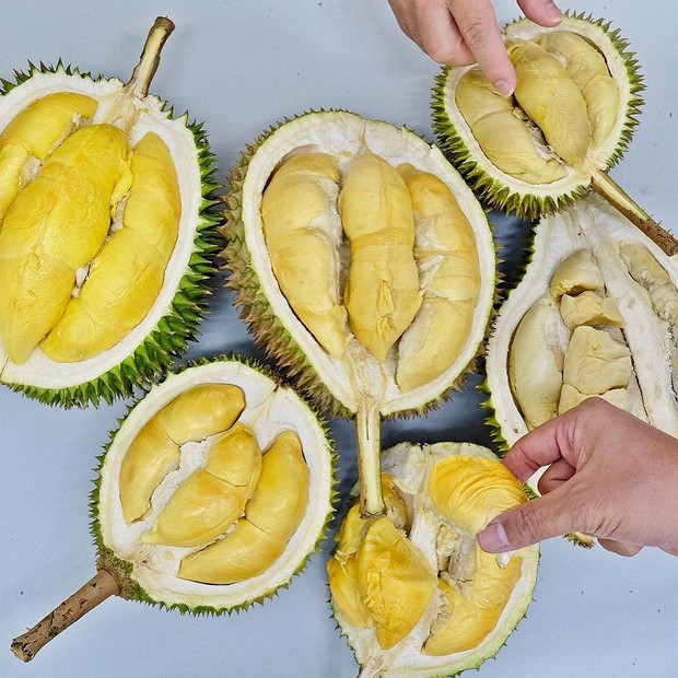 Nhìn story Kỳ Duyên ăn sầu riêng vua ngon nhất thế giới mà chỉ muốn bay ngay sang Malaysia ăn cho “bõ thèm” - Ảnh 12.