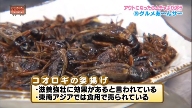 Có hẳn một show truyền hình Nhật cho các cô gái ăn gián, bọ cạp... trong nước mắt - Ảnh 5.
