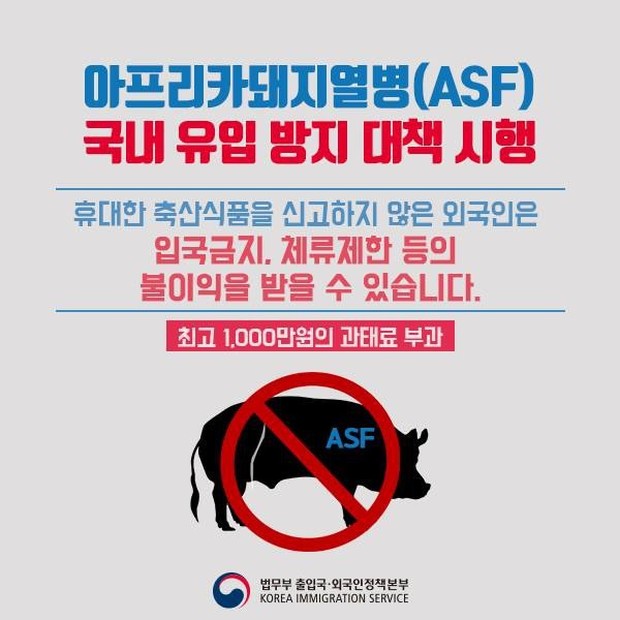 Hàn Quốc áp dụng chính sách ngăn ngừa dịch tả lợn châu Phi, ai sắp đi du lịch cũng cần lưu ý để tránh trường hợp bị cấm nhập cảnh - Ảnh 1.