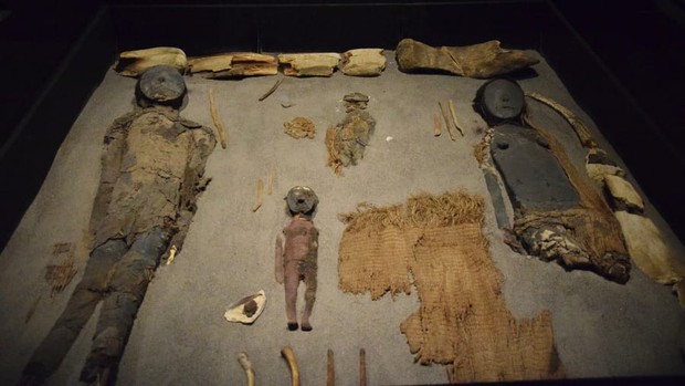 Ngạc nhiên chưa: Những xác ướp cổ nhất thế giới không phải của người Ai Cập - Ảnh 4.