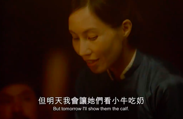 Dàn nữ diễn viên của VỢ BA: Diễn xuất gây chú ý, góp mặt ở phim đề cử Oscar lẫn kỷ lục phòng vé Việt - Ảnh 3.
