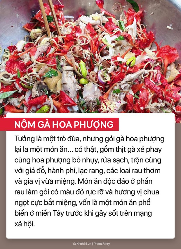7 món gỏi, nộm lạ lẫm khiến Việt Nam xứng danh thiên đường bóp gỏi, hoa quả cây cối gì cũng có thể làm nộm! - Ảnh 7.