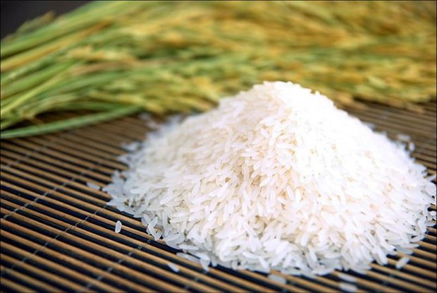 Sinh ra là người Việt, yêu thương hạt gạo dường như nằm trong bản năng của chúng ta - Ảnh 1.