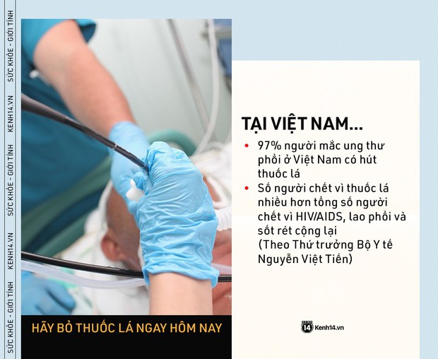 Ngày Thế giới Không Thuốc lá: những con số kinh hoàng cho thấy tác hại của thuốc lá ngày càng nghiêm trọng - Ảnh 2.