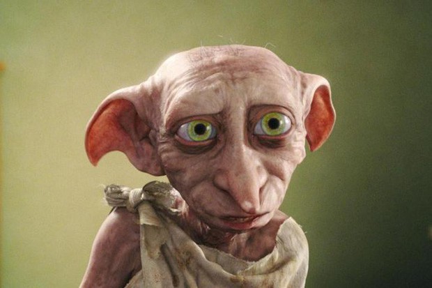 Sinh vật kỳ quái giống Dobby trong Harry Potter đang khiến internet hoảng loạn - Ảnh 3.