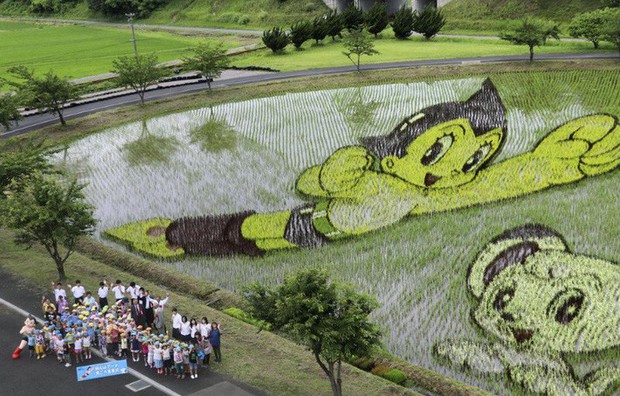 Biến ruộng lúa thành tranh vẽ đẹp như mơ, làng quê nghèo nước Nhật tưởng bị quên lãng bỗng trở thành điểm du lịch nổi tiếng - Ảnh 2.
