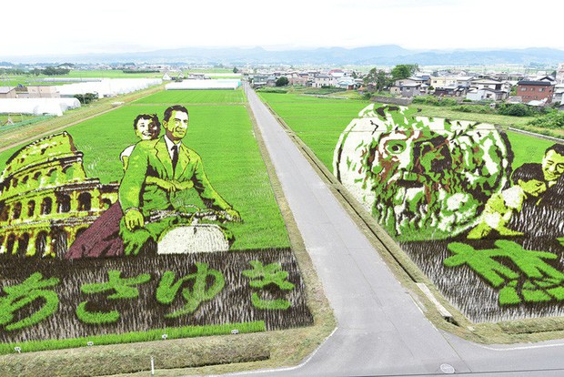Biến ruộng lúa thành tranh vẽ đẹp như mơ, làng quê nghèo nước Nhật tưởng bị quên lãng bỗng trở thành điểm du lịch nổi tiếng - Ảnh 7.