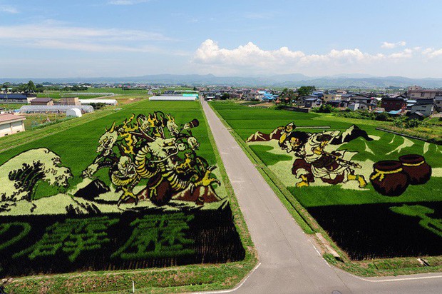 Biến ruộng lúa thành tranh vẽ đẹp như mơ, làng quê nghèo nước Nhật tưởng bị quên lãng bỗng trở thành điểm du lịch nổi tiếng - Ảnh 9.