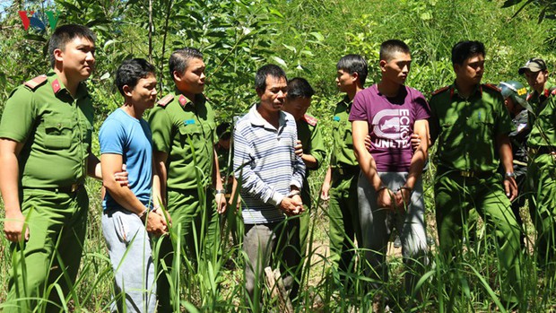 Bắt kẻ chủ mưu vụ hạ độc chết hơn 10ha rừng thông tại Lâm Đồng - Ảnh 1.