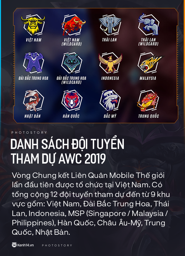 Đọc nhanh, hiểu rõ tất tần tật về giải đấu Liên Quân Mobile lớn nhất thế giới được tổ chức tại Việt Nam - Ảnh 11.
