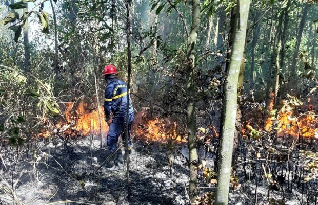 Cháy rừng hơn 8 tiếng ở Đà Nẵng, hàng trăm người được huy động để dập lửa - Ảnh 2.
