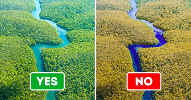 Những thổ dân Amazon vừa chặn được tập đoàn dầu mỏ khổng lồ đến phá rừng: Nguồn cảm hứng bảo vệ môi trường lan tỏa khắp Nam Mỹ - Ảnh 2.