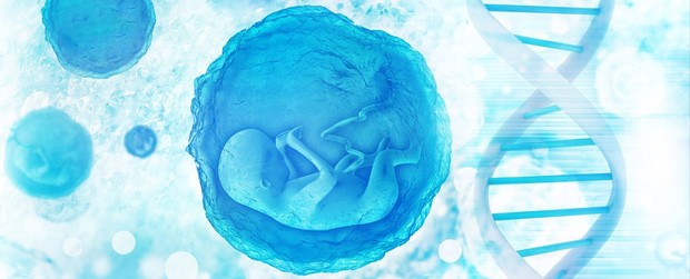 2 em bé chỉnh sửa gene từng gây tranh cãi dữ dội tại Trung Quốc đang có nguy cơ chết sớm - Ảnh 3.