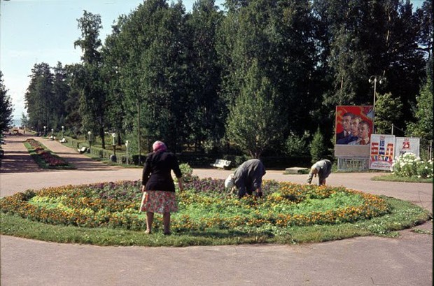 Ảnh màu ấn tượng về đường phố Leningrad những năm 1960 - Ảnh 3.