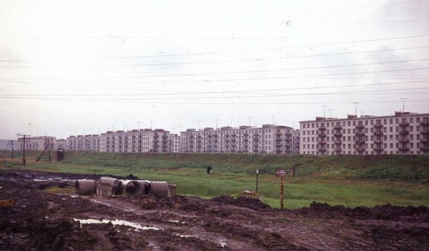 Ảnh màu ấn tượng về đường phố Leningrad những năm 1960 - Ảnh 10.