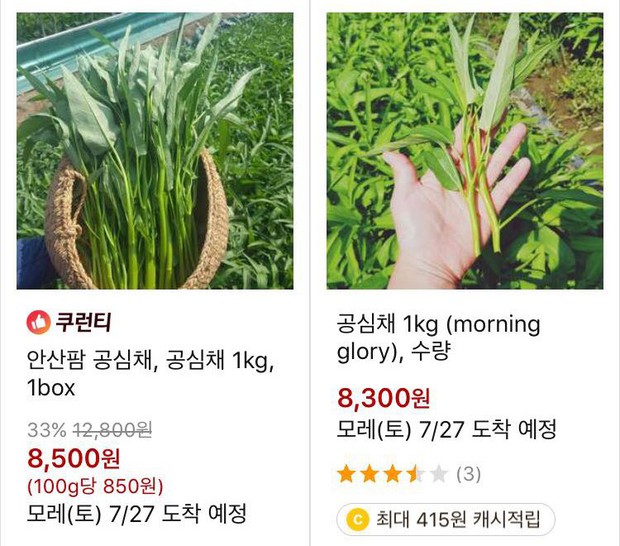 50k mua được... 6 cọng rau muống: nghe xong bỗng thấy trân trọng hơn những bữa rau muống ở nhà - Ảnh 2. 50k mua được... 6 cọng rau muống: nghe xong bỗng thấy trân trọng hơn những bữa rau muống ở nhà - Ảnh 2.