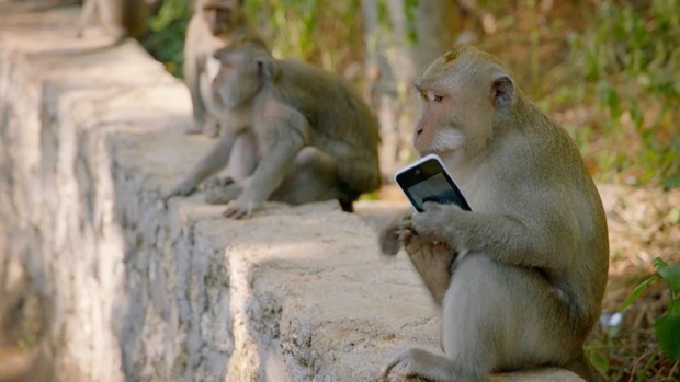 Du lịch Bali và hàng loạt hiểm nguy rình rập du khách: Sóng “tử thần”, khỉ “cướp giật” và đặc biệt là điều cuối cùng! - Ảnh 10.
