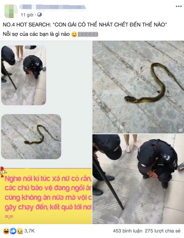 Nghe tin có rắn ở ký túc xá nữ, bảo vệ vội vàng chạy đến giải cứu nhưng thủ phạm lại khiến tất cả đều ngỡ ngàng - Ảnh 1.
