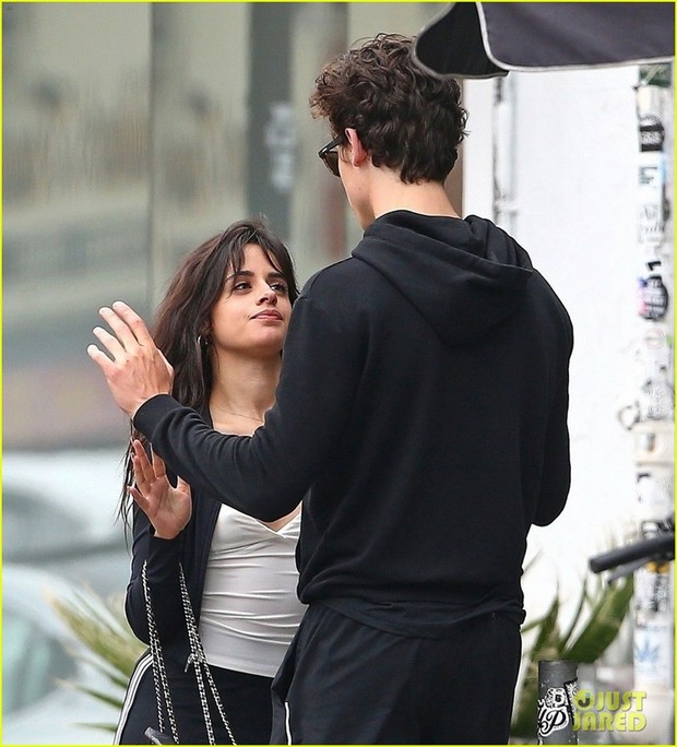 Một mực chối bay chối biến, Shawn Mendes và Camila Cabello cứ ngang nhiên ôm ấp, nắm tay thế này thì ai tin? - Ảnh 6.