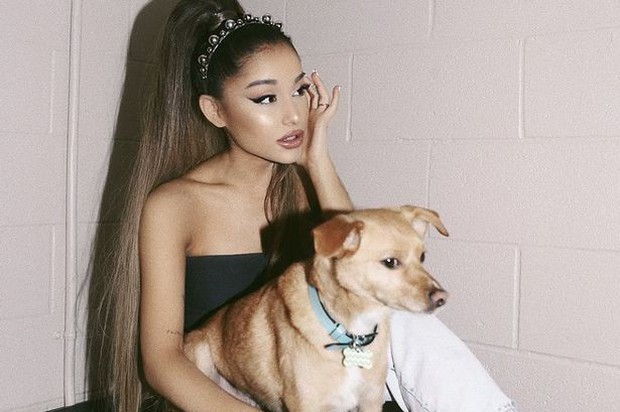 Nữ hoàng yêu sách Ariana Grande: fan chờ đến nửa đêm vẫn hủy show không lý do, cạch mặt cả Grammy vì không vừa ý - Ảnh 1. Nữ hoàng yêu sách Ariana Grande: fan chờ đến nửa đêm vẫn hủy show không lý do, cạch mặt cả Grammy vì không vừa ý - Ảnh 1.