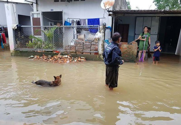 Cuộc sống người dân Phú Quốc bị đảo lộn trong trận lụt lịch sử - Ảnh 6.