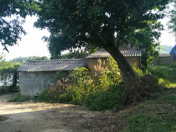 Vụ 2 chị em ruột bị xâm hại, 1 bé có bầu 5 tháng: “Gia đình muốn bỏ thai nhi vì các cháu còn quá nhỏ để làm mẹ” - Ảnh 2. Vụ 2 chị em ruột bị xâm hại, 1 bé có bầu 5 tháng: “Gia đình muốn bỏ thai nhi vì các cháu còn quá nhỏ để làm mẹ” - Ảnh 2.
