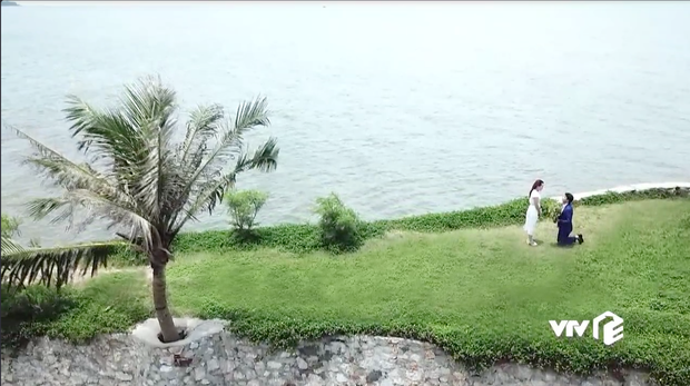 Đáng ra phải là cảnh lãng mạn nhất tập cuối Về Nhà Đi Con thì Vũ lại ném ô xả rác xuống biển, quỳ cả 2 chân cầu hôn Thư - Ảnh 7. Đáng ra phải là cảnh lãng mạn nhất tập cuối Về Nhà Đi Con thì Vũ lại ném ô xả rác xuống biển, quỳ cả 2 chân cầu hôn Thư - Ảnh 7.