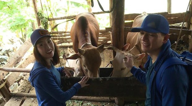 Đỗ Mỹ Linh có thật sự ngồi không tại Cuộc đua kỳ thú 2019? - Ảnh 2. Đỗ Mỹ Linh có thật sự ngồi không tại Cuộc đua kỳ thú 2019? - Ảnh 2.