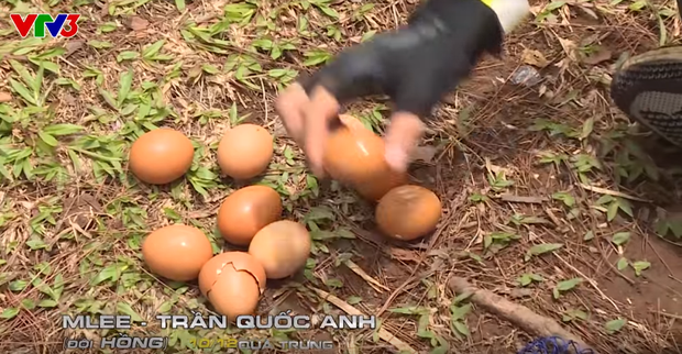 Cuộc đua kỳ thú đang dần biến thành Đỗ Mỹ Linh và những người bạn? - Ảnh 6. Cuộc đua kỳ thú đang dần biến thành Đỗ Mỹ Linh và những người bạn? - Ảnh 6.