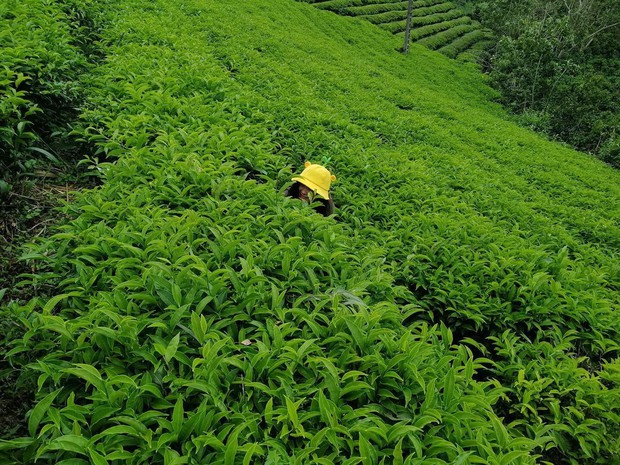 Chùm ảnh chứng minh sai lầm lớn nhất của hội sống ảo chính là: Người lạ ơi, xin chụp giúp tôi bức ảnh! - Ảnh 3.