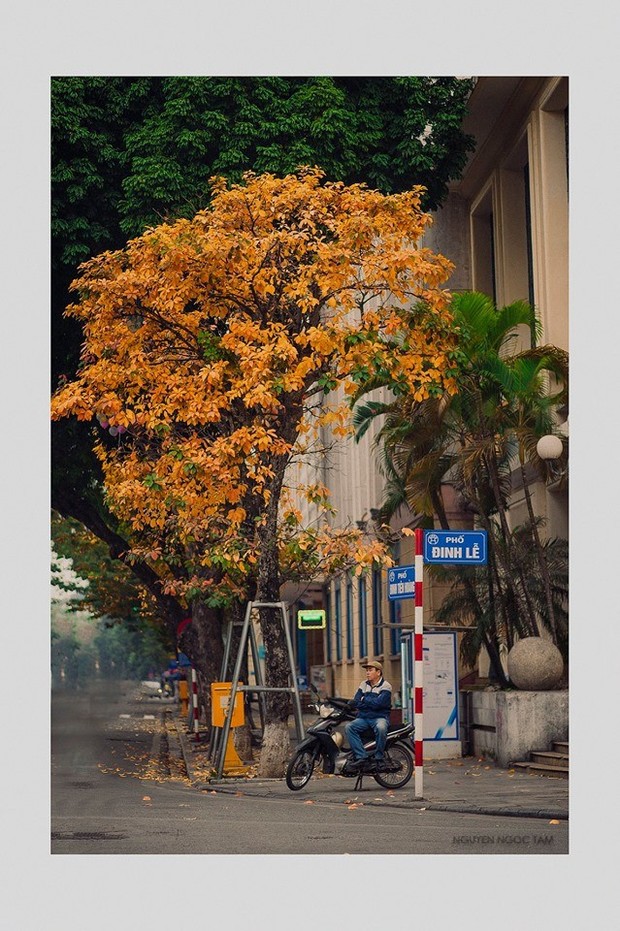 Ô kìa, tự dưng mở mắt thấy trời mưa, hơi se se lạnh... Mùa thu Hà Nội đã về thật rồi! - Ảnh 1.