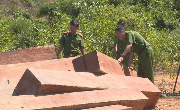 Bắt trưởng thôn khai thác gỗ thuê với giá 300.000 đồng mỗi ngày - Ảnh 3. Bắt trưởng thôn khai thác gỗ thuê với giá 300.000 đồng mỗi ngày - Ảnh 3.