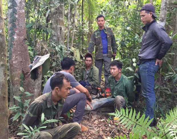 Bắt trưởng thôn khai thác gỗ thuê với giá 300.000 đồng mỗi ngày - Ảnh 2. Bắt trưởng thôn khai thác gỗ thuê với giá 300.000 đồng mỗi ngày - Ảnh 2.
