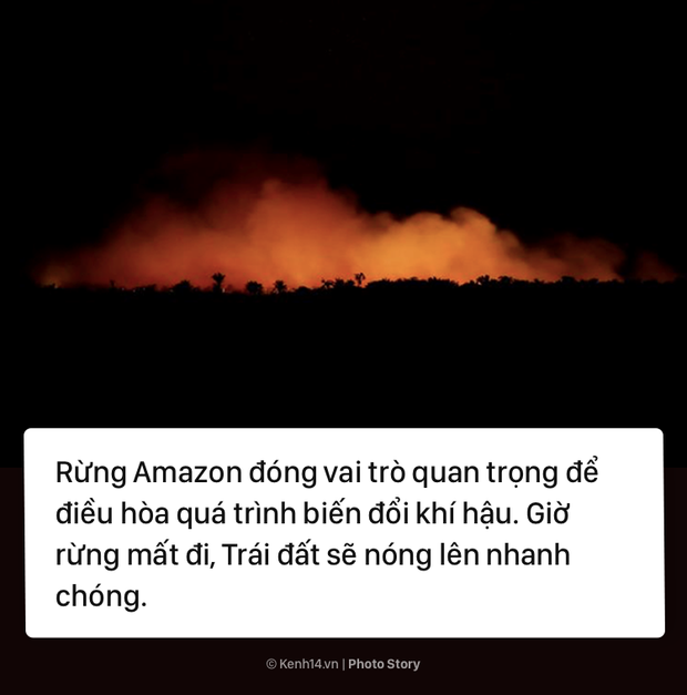 Toàn cảnh thảm hoạ cháy rừng Amazon khiến cả thế giới bàng hoàng - Ảnh 13.
