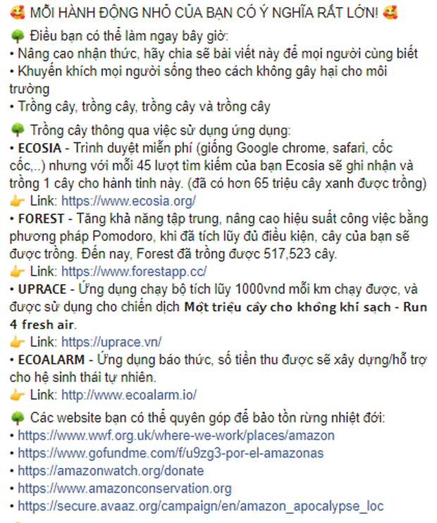 Thảm họa Amazon không còn là chuyện ở xa: Cư dân mạng thế giới và Việt Nam đồng loạt lên tiếng kêu gọi cứu lấy cánh rừng xanh - Ảnh 10.