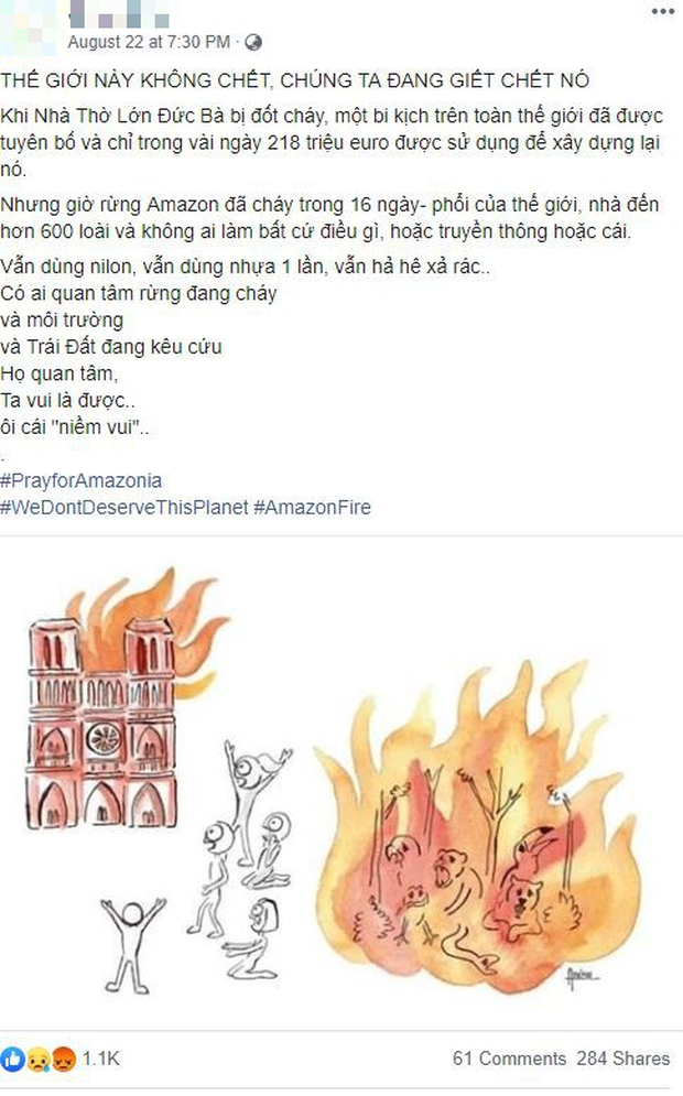 Thảm họa Amazon không còn là chuyện ở xa: Cư dân mạng thế giới và Việt Nam đồng loạt lên tiếng kêu gọi cứu lấy cánh rừng xanh - Ảnh 6.
