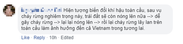 Thảm họa Amazon không còn là chuyện ở xa: Cư dân mạng thế giới và Việt Nam đồng loạt lên tiếng kêu gọi cứu lấy cánh rừng xanh - Ảnh 5.