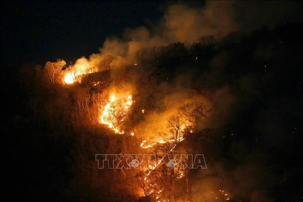 Paraguay và Bolivia nỗ lực ngăn chặn các đám cháy rừng ở vùng Amazon - Ảnh 1.