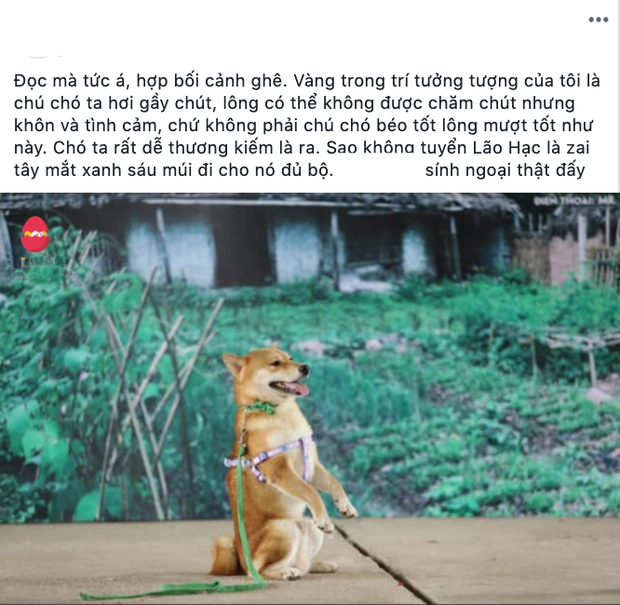 NSX Cậu Vàng lên tiếng về chú cún Nhật gây tranh cãi: Chó ta thiên tính tự nhiên cao, không đáp ứng được kĩ thuật! - Ảnh 5. NSX Cậu Vàng lên tiếng về chú cún Nhật gây tranh cãi: Chó ta thiên tính tự nhiên cao, không đáp ứng được kĩ thuật! - Ảnh 5.