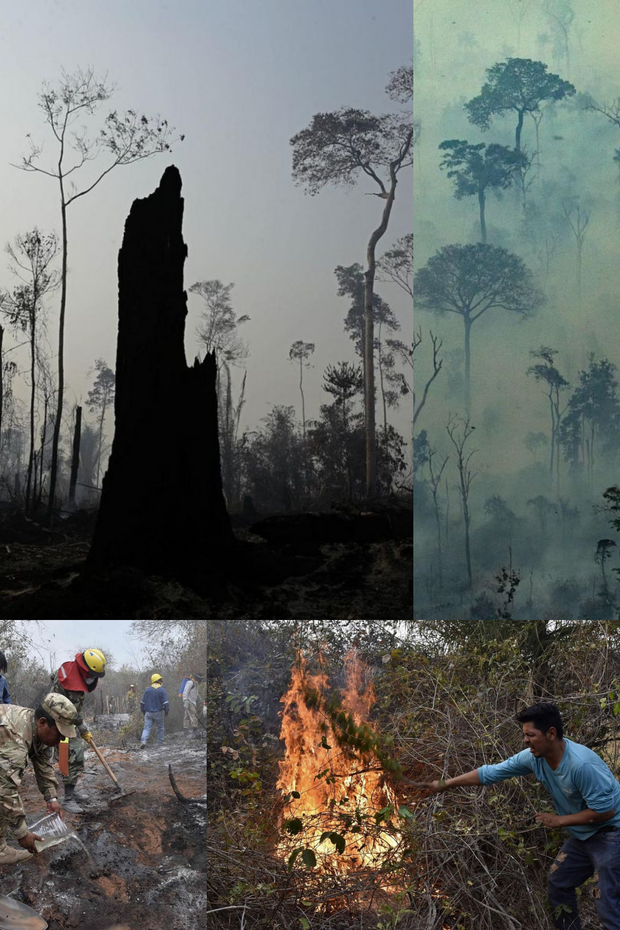 Loạt ảnh Amazon trước và sau đại nạn cháy rừng 2019: Lá phổi xanh ngày nào đã mang đầy bệnh tật do con người đầu độc - Ảnh 16.
