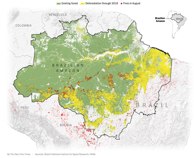 The New York Times: Phân tích ảnh vệ tinh đã chỉ ra chính xác thủ phạm gây thảm họa cháy rừng tại Amazon - Ảnh 1.