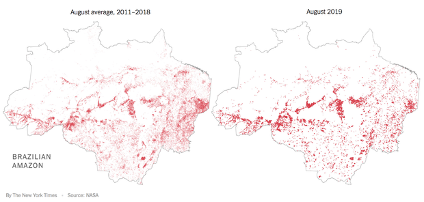 The New York Times: Phân tích ảnh vệ tinh đã chỉ ra chính xác thủ phạm gây thảm họa cháy rừng tại Amazon - Ảnh 4.