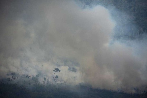 Cuộc sống đảo lộn của người dân nơi rừng Amazon bị tàn phá nhiều nhất: Khói khắp nơi, chìm trong biển lửa và hối hận muộn màng - Ảnh 3.