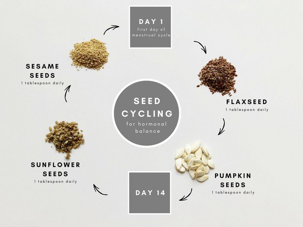 Seed Cycling: phương pháp loại bỏ sạch mụn khi ăn các loại hạt theo chu kì kinh nguyệt - Ảnh 1.